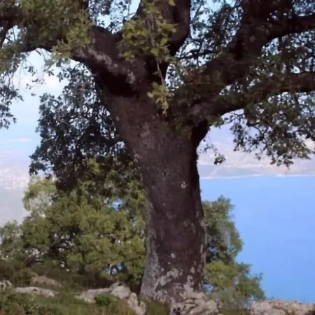 Tranquil Kolivata Lefkada Retreat House Holiday home *