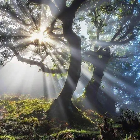 Tranquil Kolivata Lefkada Retreat House *