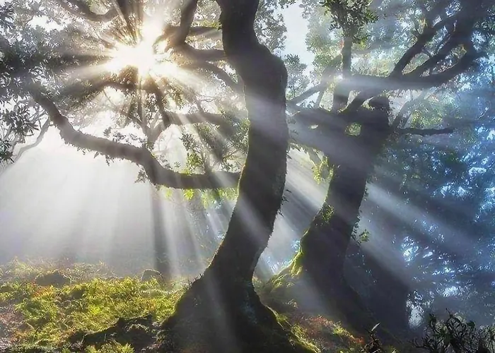 Tranquil Kolivata Lefkada Retreat House *